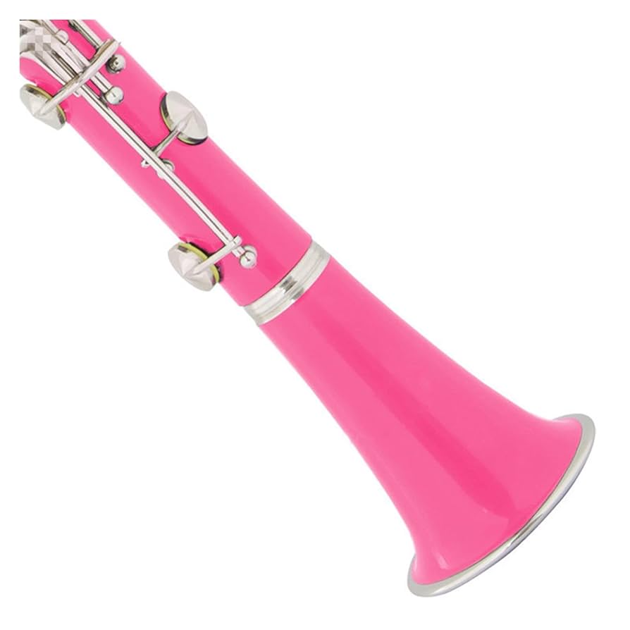 【2540】クラリネット 赤～ピンク系のお花封入 clarinetキーホルダー 2540】クラリネット 赤～ピンク系のお花封入 clarinet